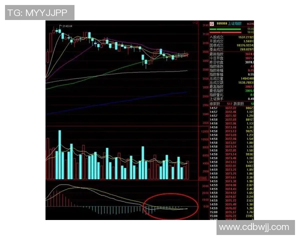 深圳排球队与成都排球队赛后复盘分析比赛节奏及战术执行情况
