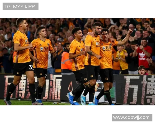 英超聚焦网球武汉网球队技术提升与战术创新的深度探讨