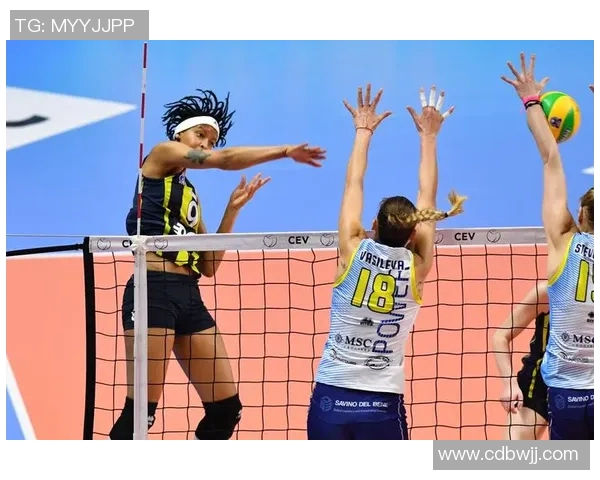 从零基础到排球高手的灵活性训练与欧冠足球技巧全面解析