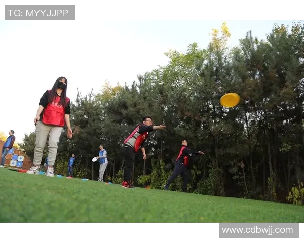 运动飞盘的魅力揭秘上海飞盘队如何实现完美配合与团队协作