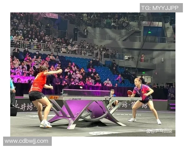 重庆乒乓球队区域防守策略分析与成效评估探讨