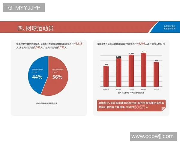 体育实时数据深圳网球队在联合会杯中的团队协作表现分析与评价