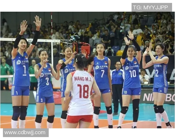 实时新闻深入分析杭州排球队的进攻策略与战术特点